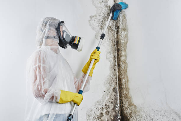 Best Crawl Space Mold Removal  in Columbia, MS