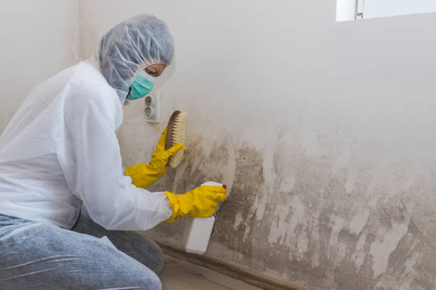 Best Emergency Mold Removal  in Columbia, MS