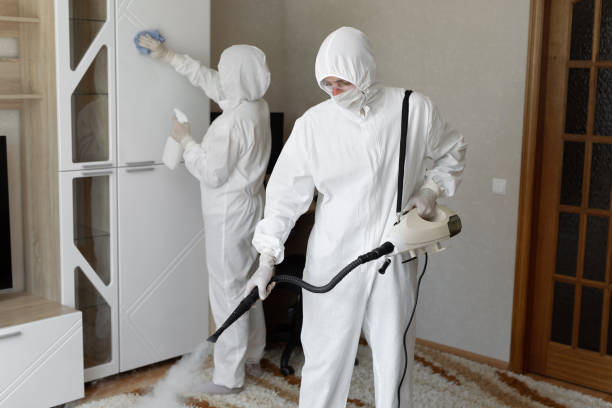 Best Mold Testing and Removal  in Columbia, MS