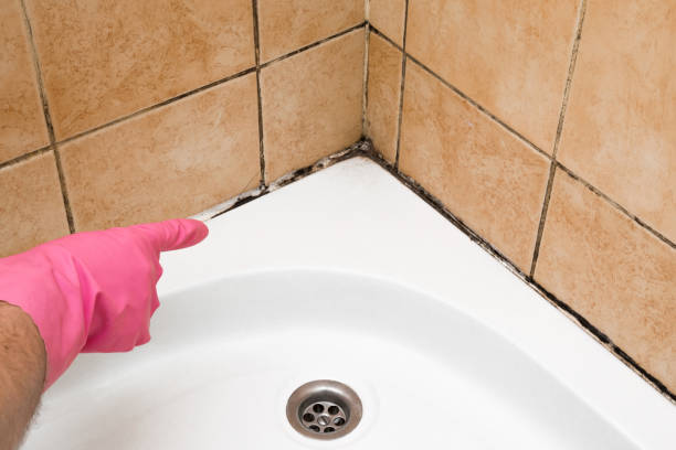 Best Mold Testing  in Columbia, MS